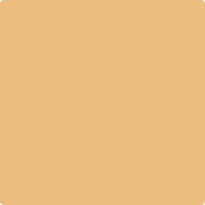 166-Orange: Ice a paint color by Benjamin Moore avaiable at Clement's Paint in Austin, TX.