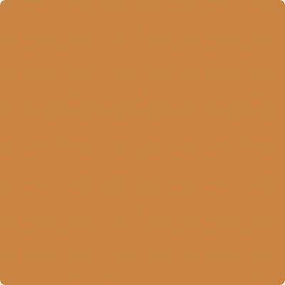 168-Amber: a paint color by Benjamin Moore avaiable at Clement's Paint in Austin, TX.