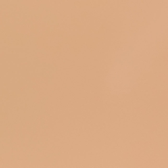 Creamsicle - Automotive Aerosol Spray Paint
