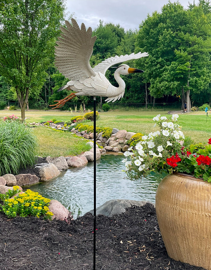 Cruising Crane