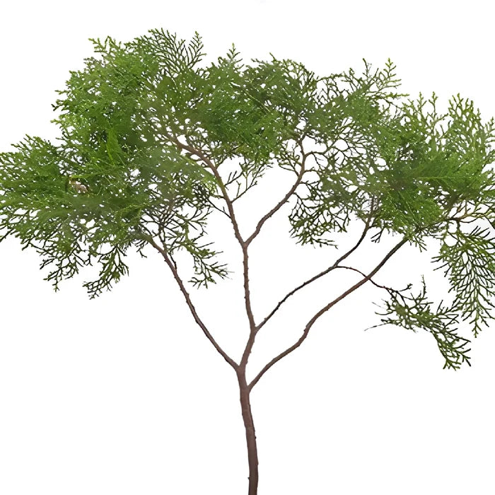 Green Arbor Cedar Winter Greenery