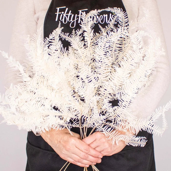 Dried Bleached Mini Fern Flower Bunch in Hand