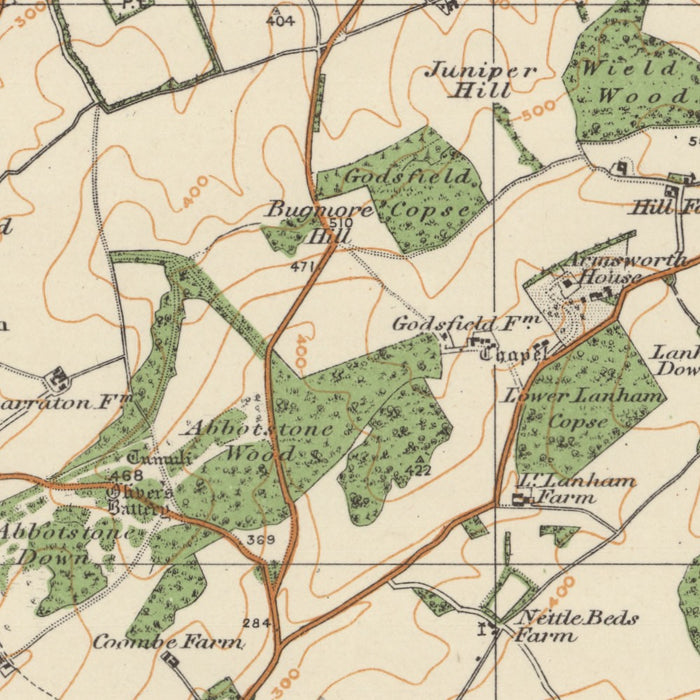 Old Ordnance Survey Map, Sheet 123 - Winchester, 1925: Basingstoke, Whitchurch, Petersfield, Alton, Odiham – centre detail crop