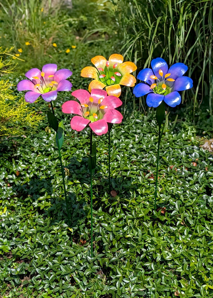 Radiant Lily