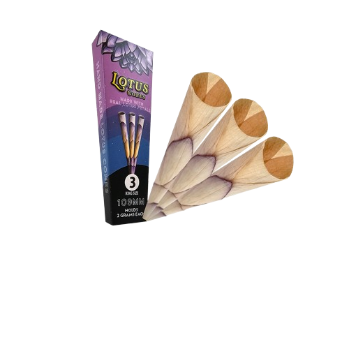 ROSE PALMS LOTUS CONES | 3PK