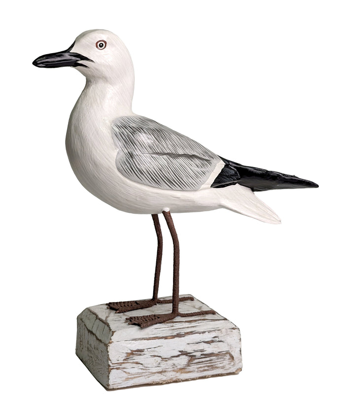 Seagull