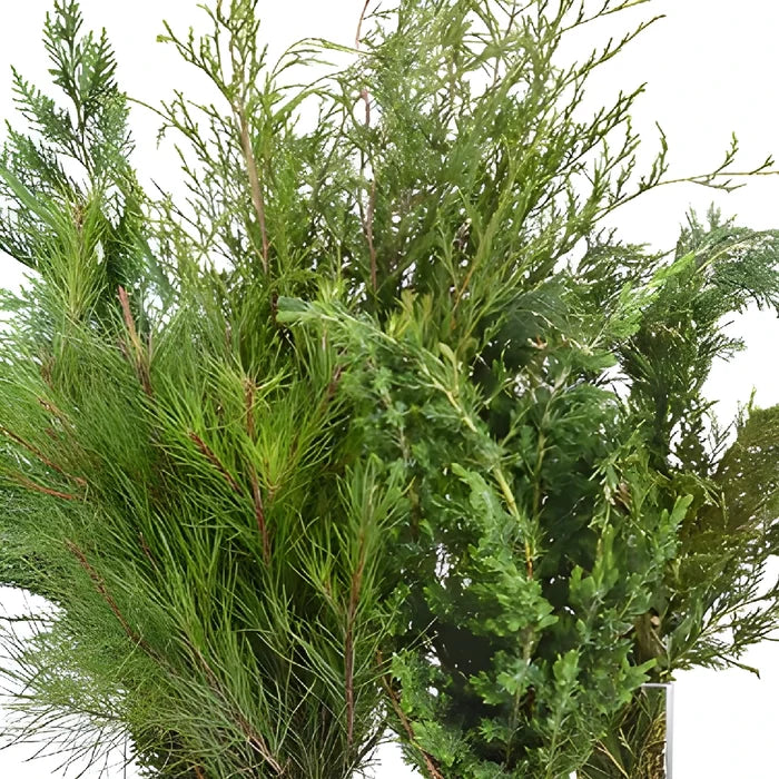 Winter Greenery Mix