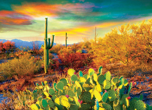 1000 Piece Jigsaw Puzzle - Desert Dreams | EUROGRAPHICS