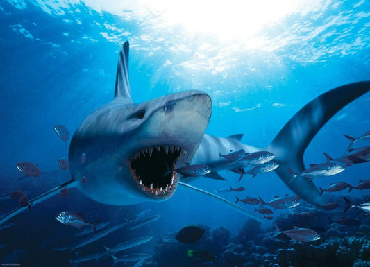 1000 Piece Jigsaw Puzzle - Hungry Shark | EUROGRAPHICS