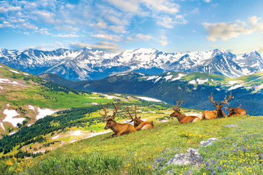 1000 Piece Jigsaw Puzzle - Mountain Elks | EUROGRAPHICS