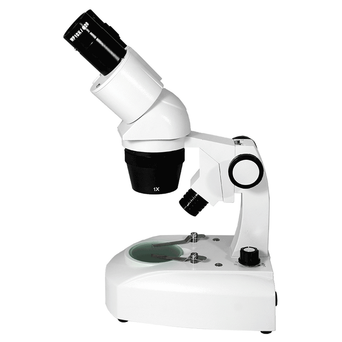 10X/20X Widefield Stereo Microscope, Binocular, Track Stand, Halogen Top and Bottom Light, Bright Field