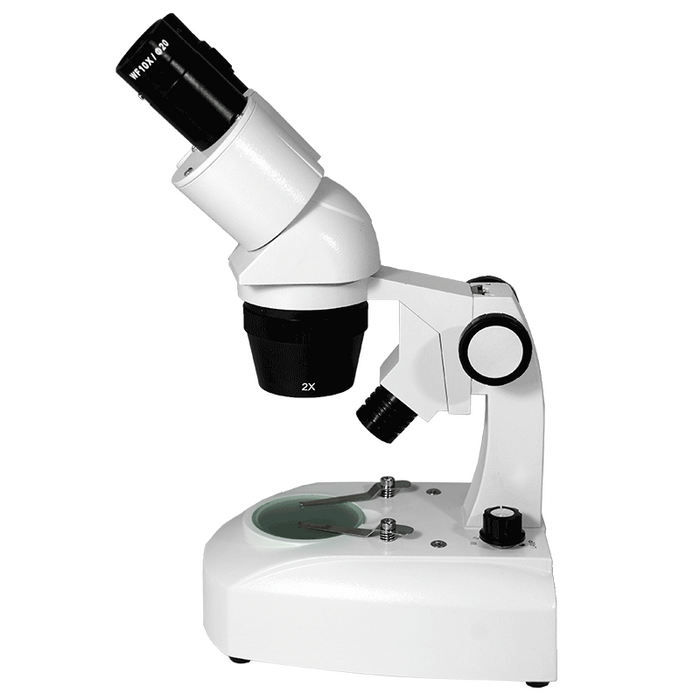 10X/20X Widefield Stereo Microscope, Binocular, Track Stand, LED Top and Bottom Light, Bright Field