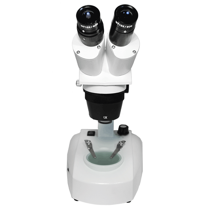10X/20X Widefield Stereo Microscope, Binocular, Track Stand, LED Top and Bottom Light, Bright Field