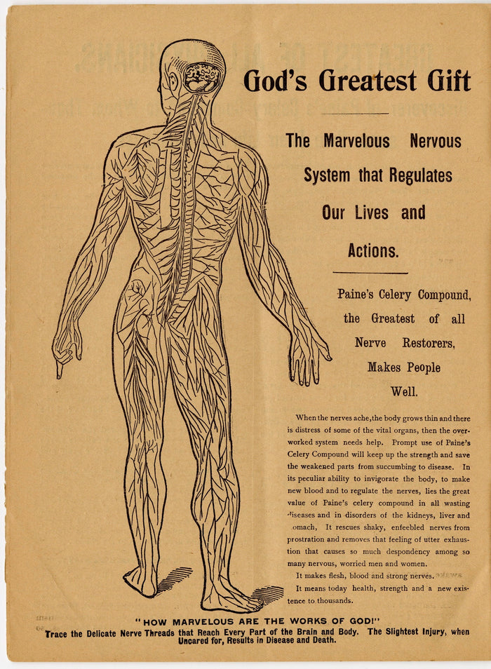 1899 PAINE'S CELERY COMPOUND Promotional Booklet PDF ONLY, Famous Victorians, Quack Nostrum