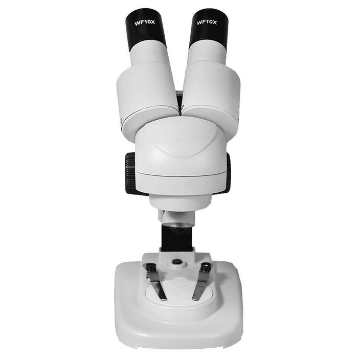 20X Widefield Portable Stereo Microscope 45° Viewing Angle, LED Top Light for Hobbyists, Collectors, Beginners