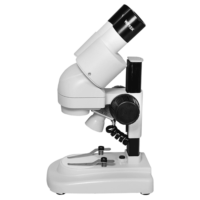 20X Widefield Portable Stereo Microscope 45° Viewing Angle, LED Top Light for Hobbyists, Collectors, Beginners