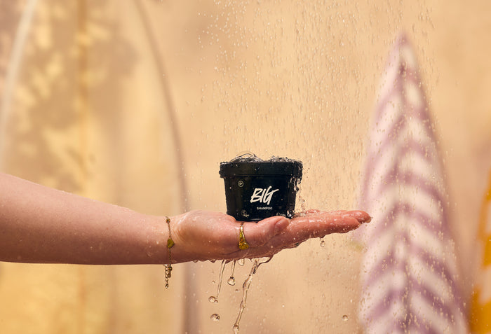 Big - Shampoo