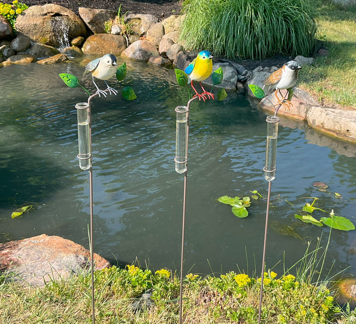 Bird Rain Gauge, Assorted
