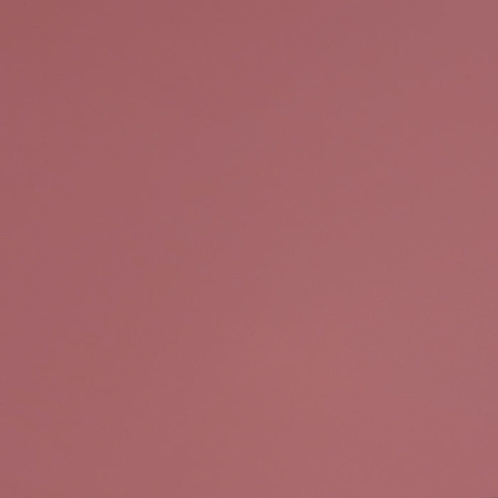 Bubblegum Pink - Automotive Aerosol Spray Paint