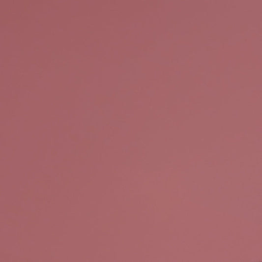 Bubblegum Pink - Automotive Aerosol Spray Paint