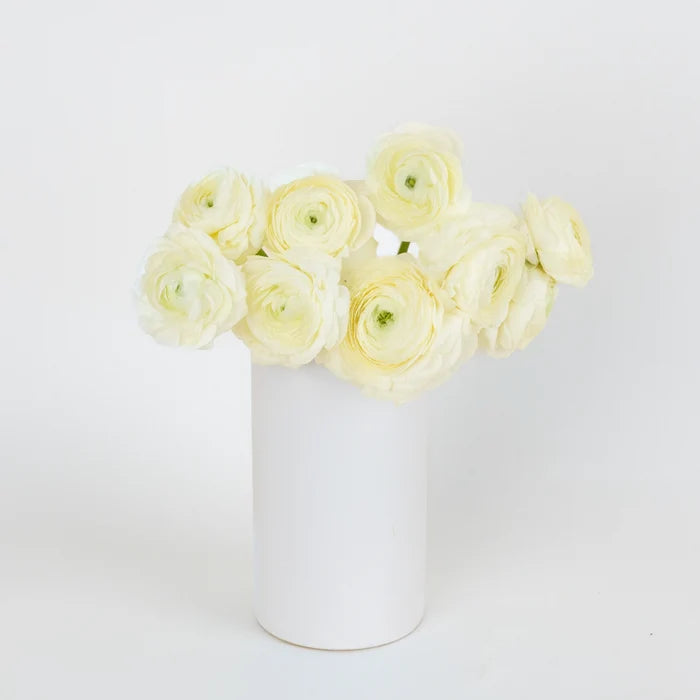 Champagne Wholesale Ranunculus Flowers Vase - Image