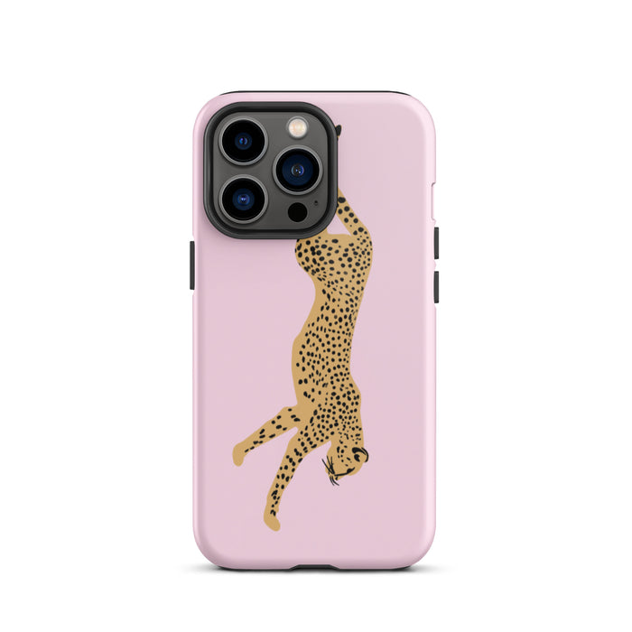 Glossy / iPhone 13 Pro / Pink