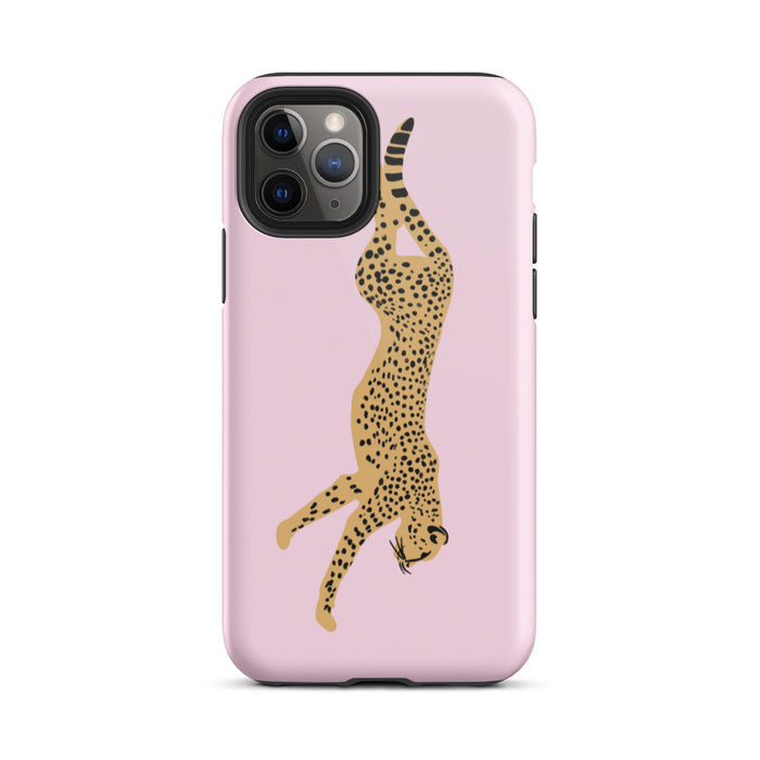 Glossy / iPhone 11 Pro / Pink
