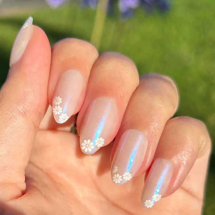 Daisy French - Press-On | Medium | Almond showing medium almond press-on nails with white daisy tips in natural outdoor light