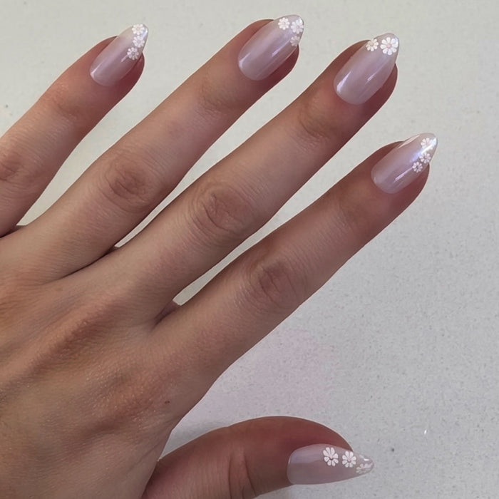 Daisy French - Press-On | Medium | Almond showing medium almond press-on nails with subtle white daisy tips on natural hand