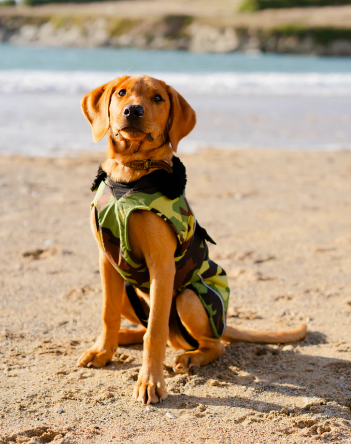 Dryrobe Green Camouflage Black Dog Coat