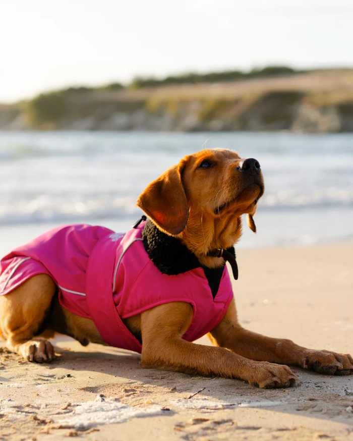 Dryrobe Pink Black Dog Coat