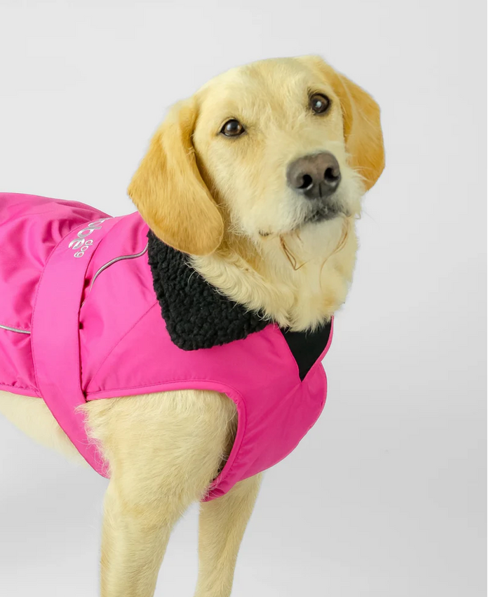 Dryrobe Pink Black Dog Coat