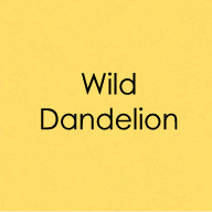 Gina K. Designs - Heavy Weight Cardstock - Wild Dandelion. Heavy Base Weight Card Stock- perfect for card bases and layering. This pack contains 10 sheets of 8 1/2" X 11" Pure Luxury card stock.100lb. Available at Embellish Away located in Bowmanville Ontario Canada.