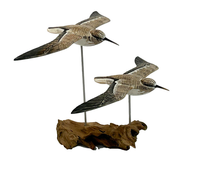 Gliding Sandpipers
