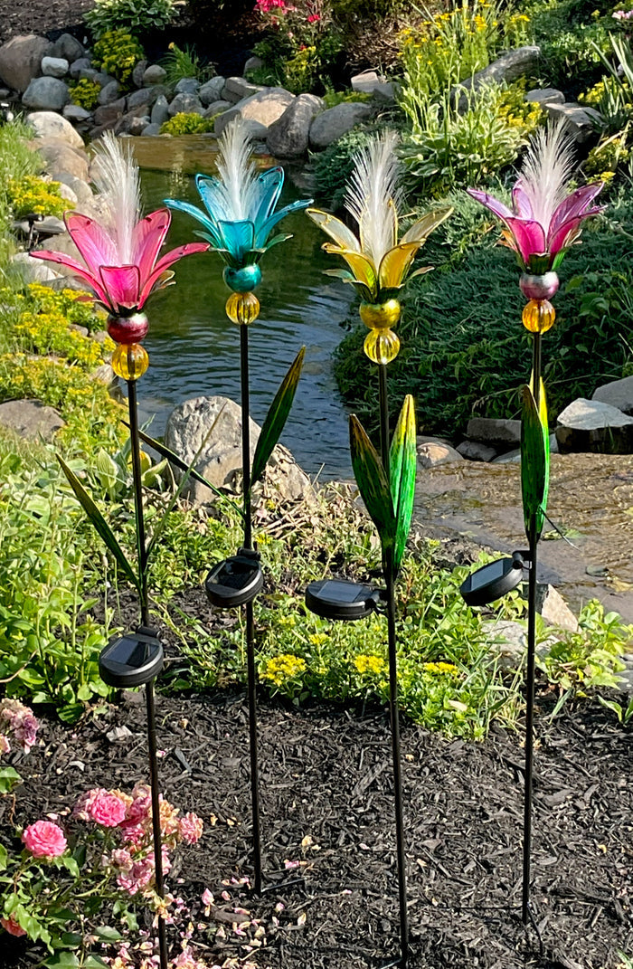 Glowing Plume