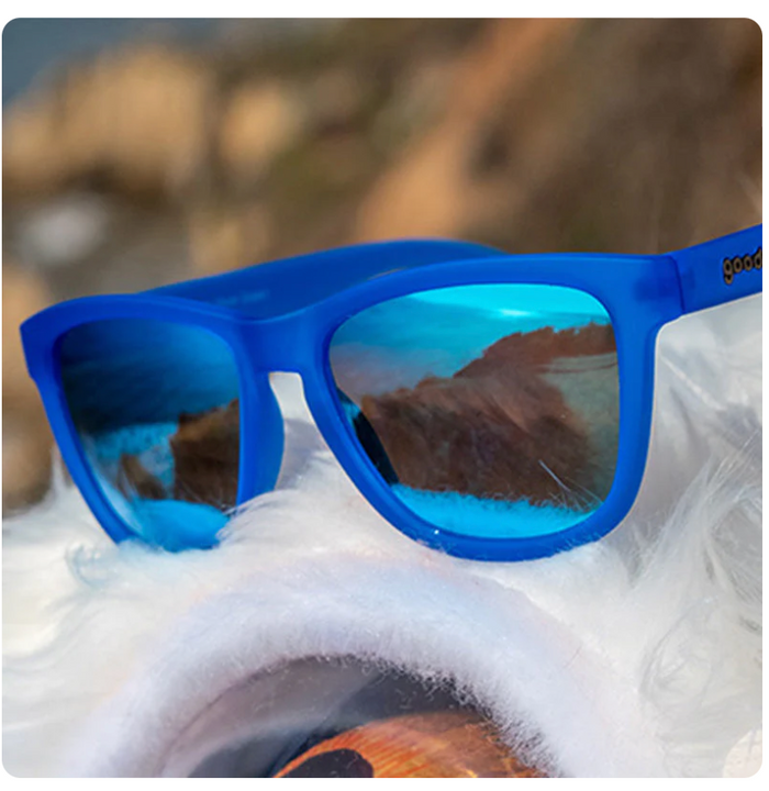 Goodr - Falkor's Fever Dream