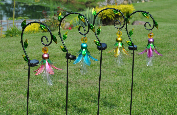 Hanging Lily
