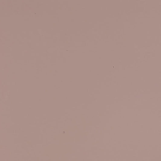 Light Mauve - Automotive Aerosol Spray Paint