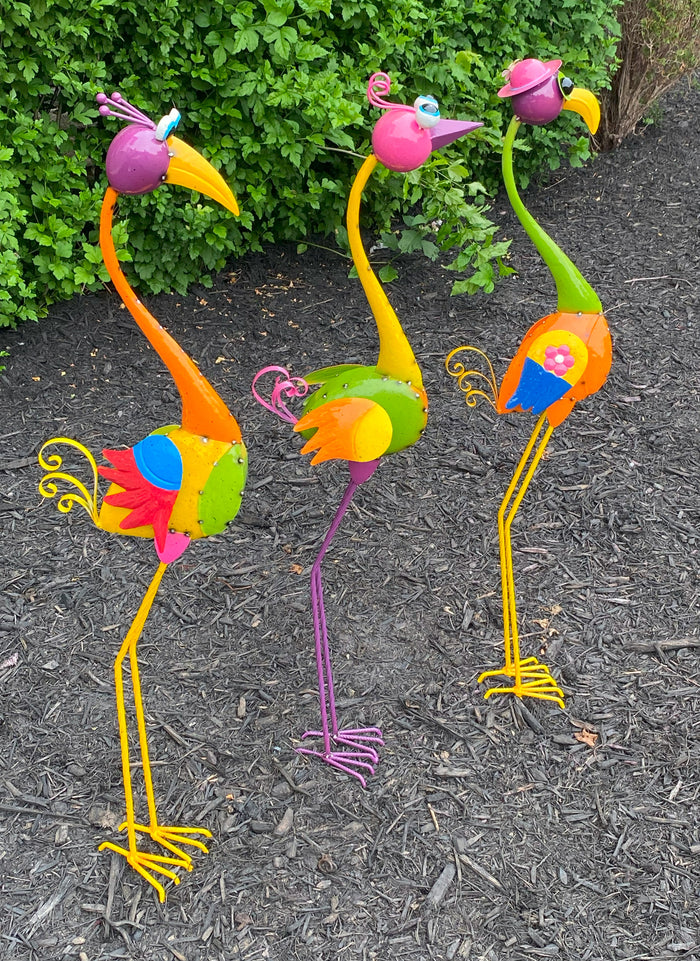 Loco Birds,  Assorted