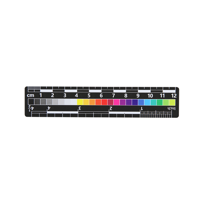 Low Gloss Double-Sided Scale Yes Double-Sided PVC Scale in Colors (12cm), SKU CT20051309, three quarter front view