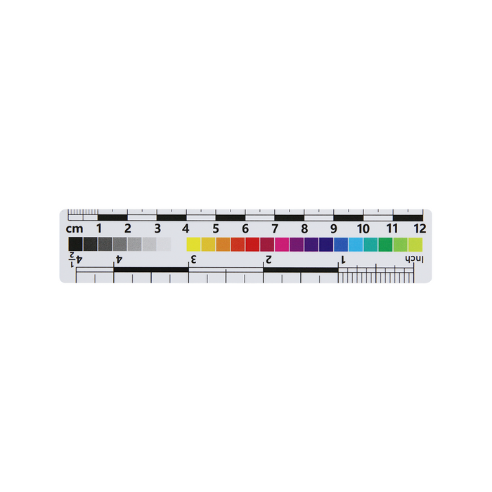 Low Gloss Double-Sided Scale Yes Double-Sided PVC Scale in Colors (12cm) CT20051309