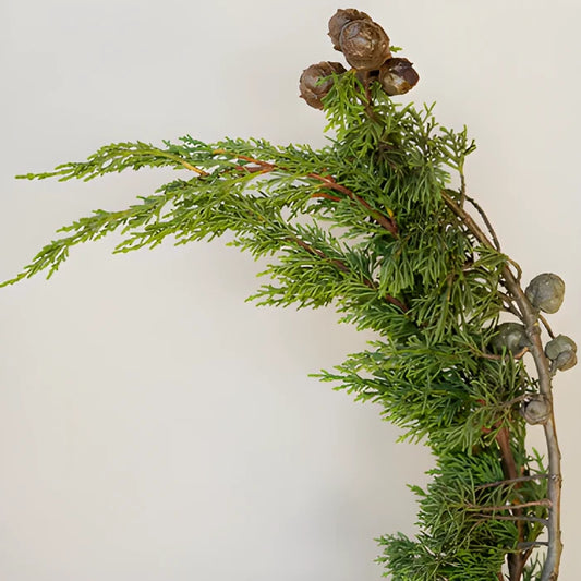 Wedding greenery monterey cypress winter filler flower sold near me