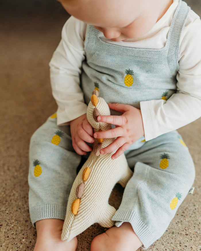 Pineapple Embroidered Baby Overall & Bodysuit Set (Organic Cotton) with Dino Toy