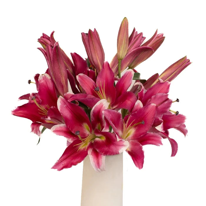 Pink Scented Oriental Lily Flower Stem - Image