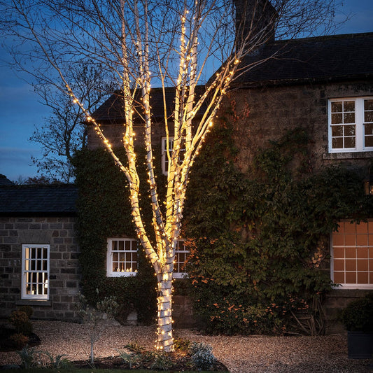 PR50CYWB_Warm-White-Christmas-Tree-Lights-Outdoor-String-Lights_P2_383ff0b7-405b-4b2c-94af-98f8c007bbb9.jpg