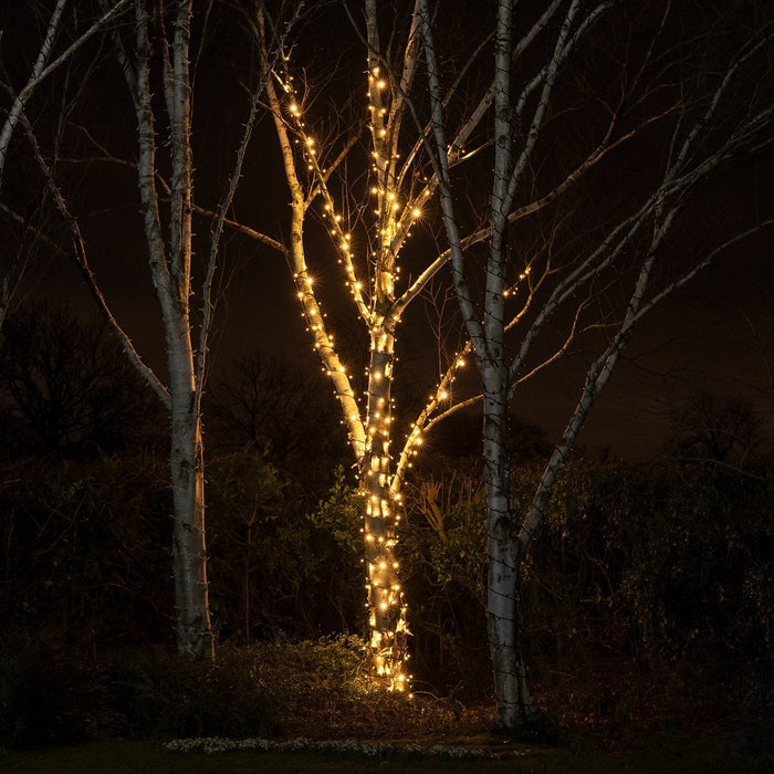 PR50CYWB_Warm-White-Outdoor-String-Lights-Black-Cable-Tree-Night_ce21e8d4-0083-494d-8f4e-cfd6b9414f9f.jpg