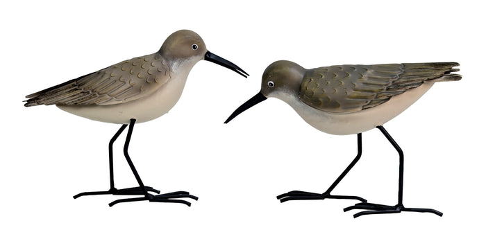 Sanderlings