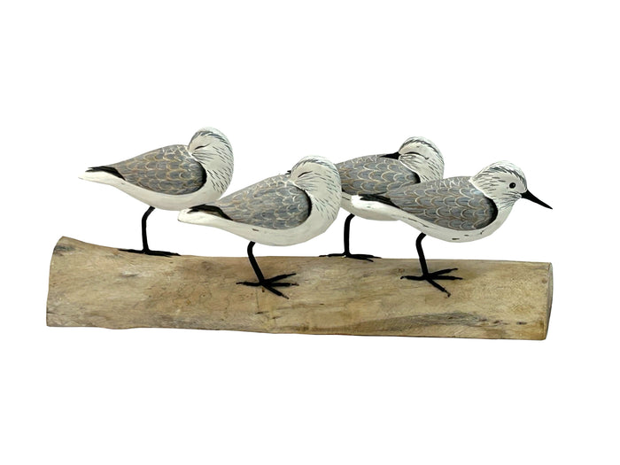 Sanderlings