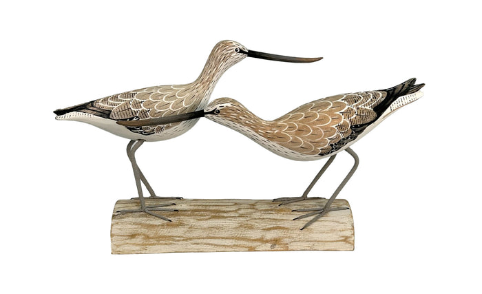 Shorebirds, s/2