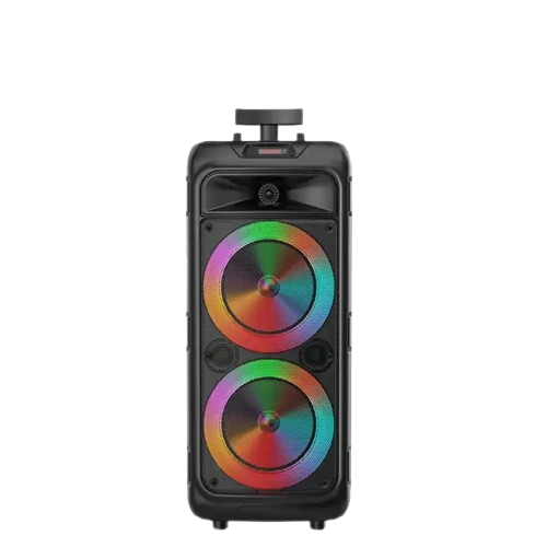 SING-E ZQS8211 DOUBLE 8'' LED MIC BLUETOOTH